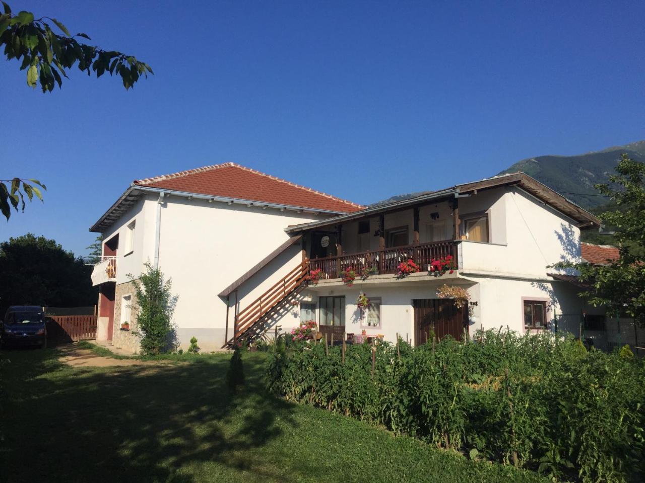 Kitka Hostel - Vratnica Exterior foto